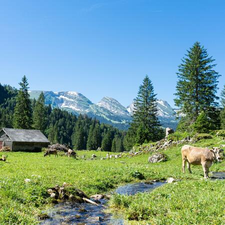 Sommer im Toggenburg