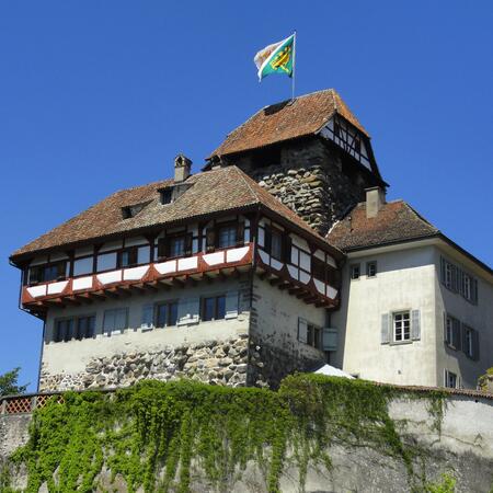 Schloss Frauenfeld