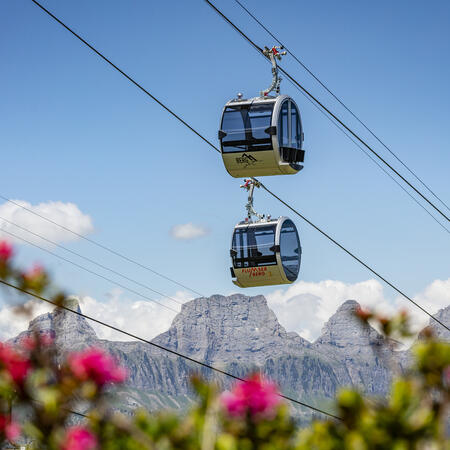 AusflugsBerg Flumserberg