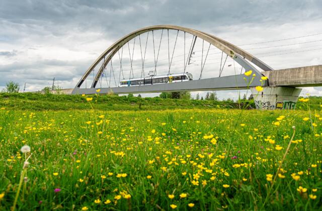 Rheinbrücke Sommer