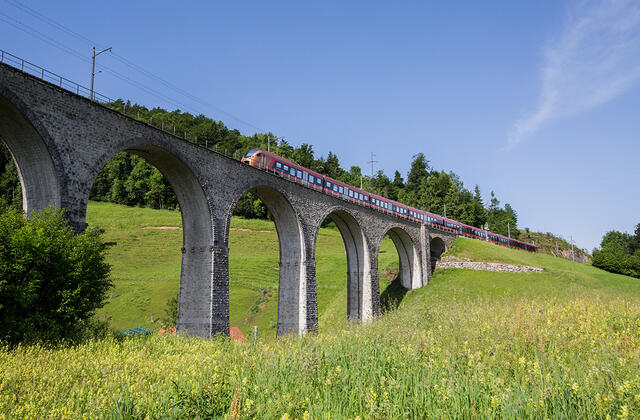 50746640123_d1847abc15_1000x667px