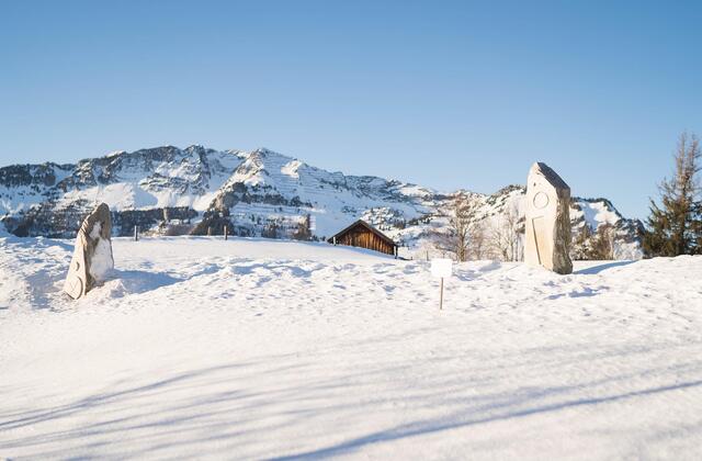 winterlandschaft-09203