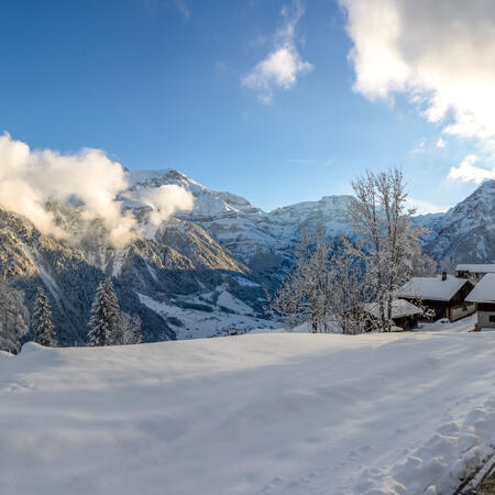 Winterliche Märchenfahrt